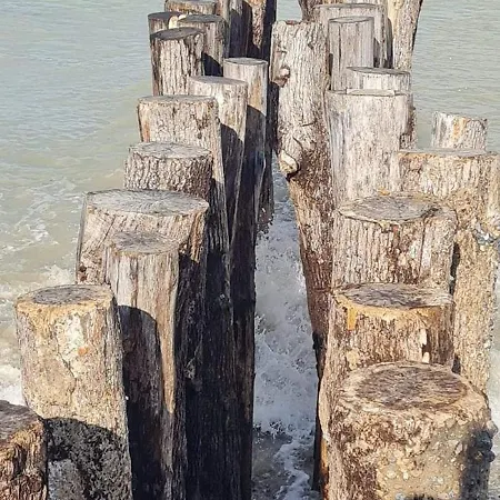 Semesterbostad La Maison Ludo